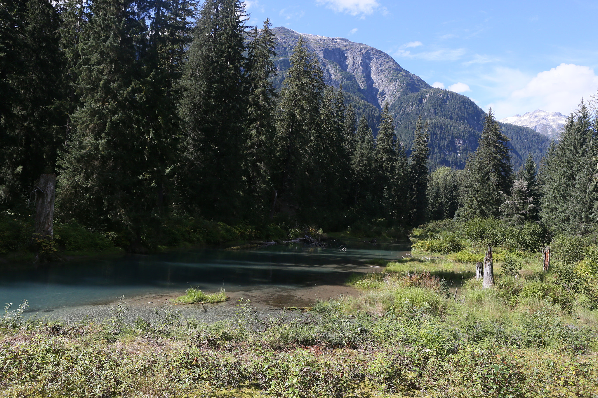 Canon EOS-1D X + Canon EF 24-70mm F2.8L USM sample photo. Canada to alaska photography