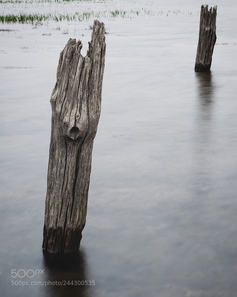 Nikon D7200 sample photo. Old pilons at high photography