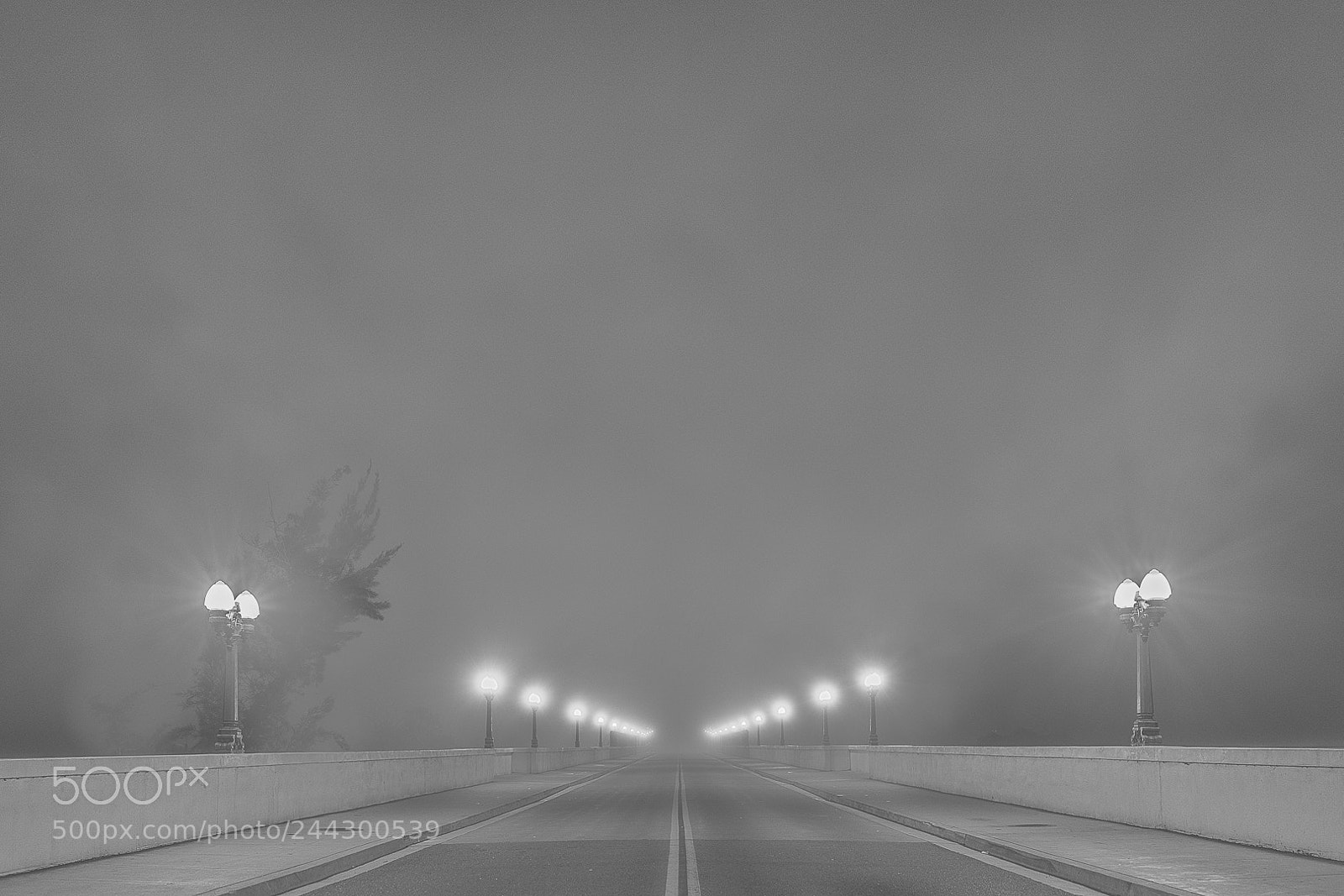 Sony a7R II sample photo. Foggy cabrillo photography