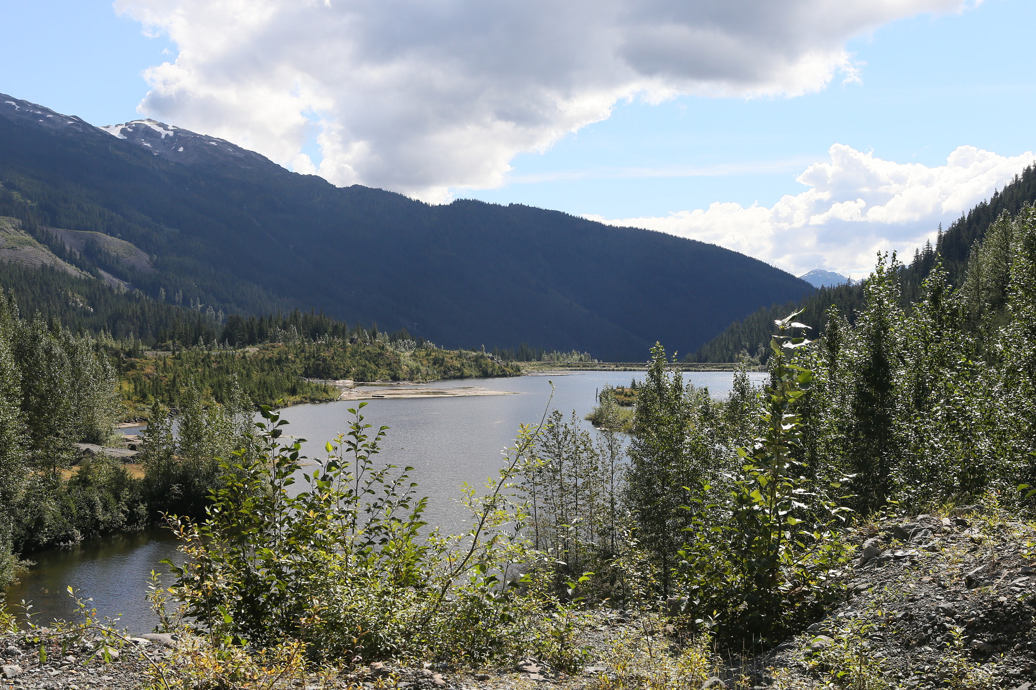 Canon EOS-1D X sample photo. Canada to alaska photography