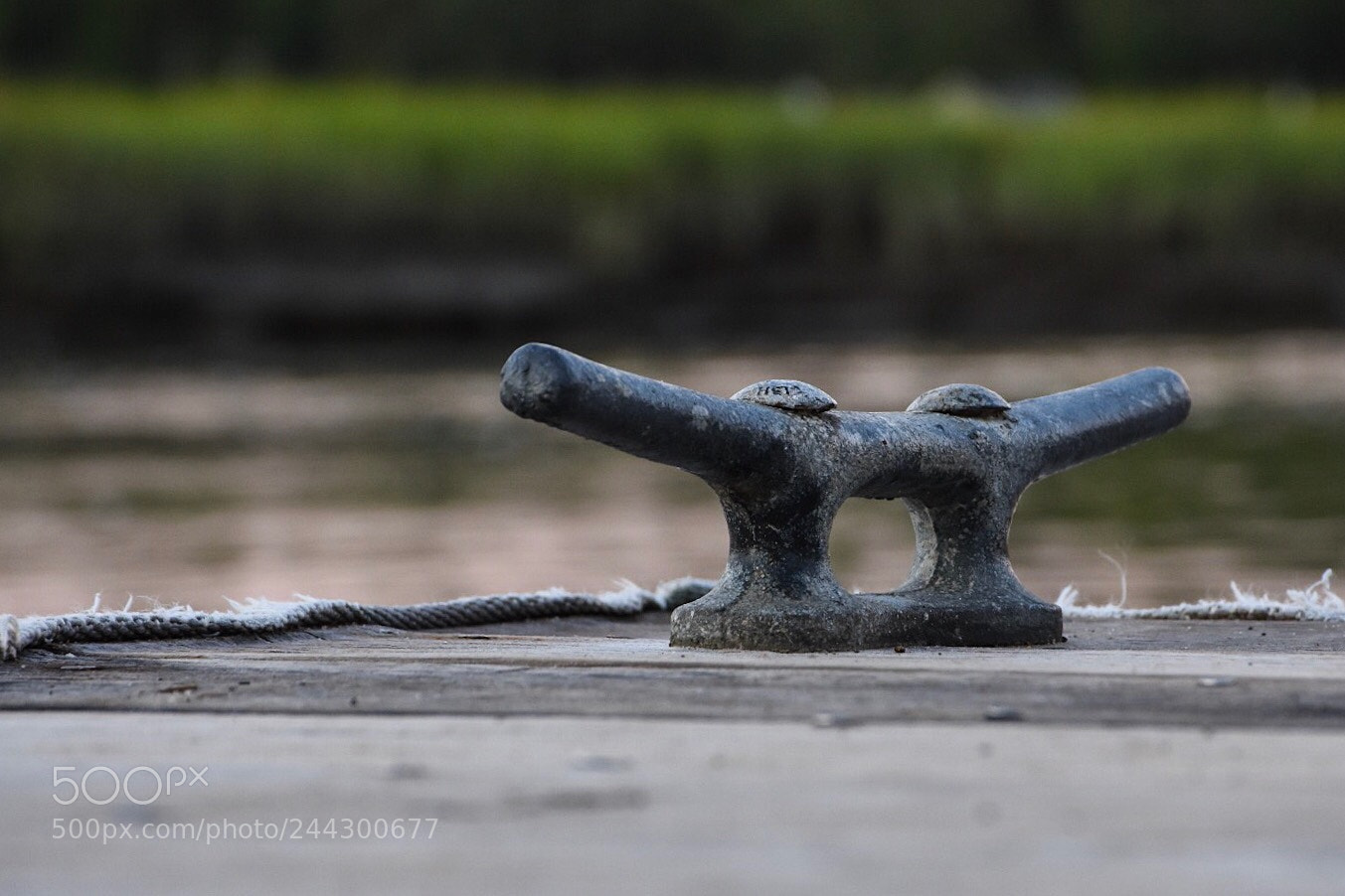 Nikon D7200 sample photo. Dock cleat on the photography