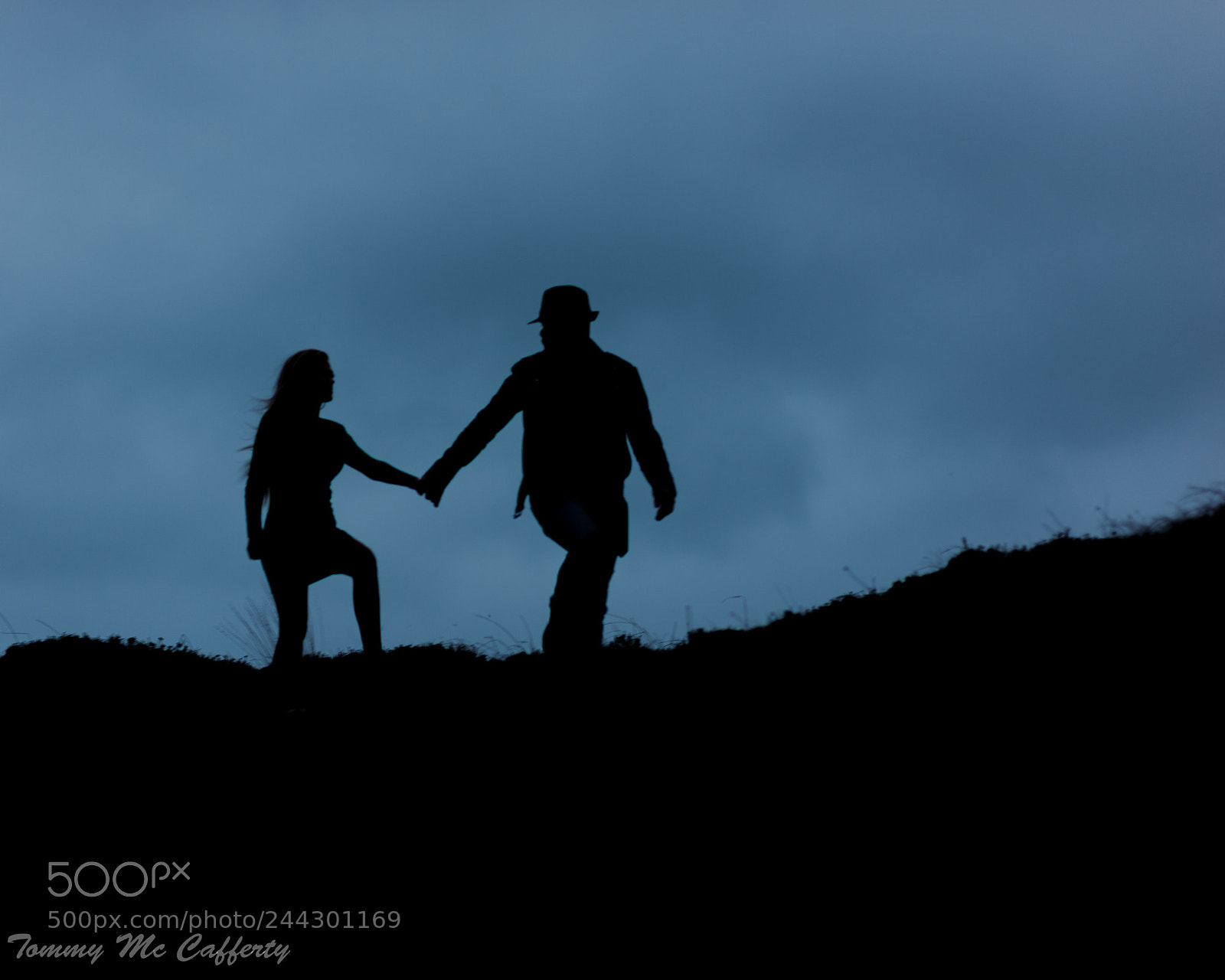 Nikon D800E sample photo. Untitled photography