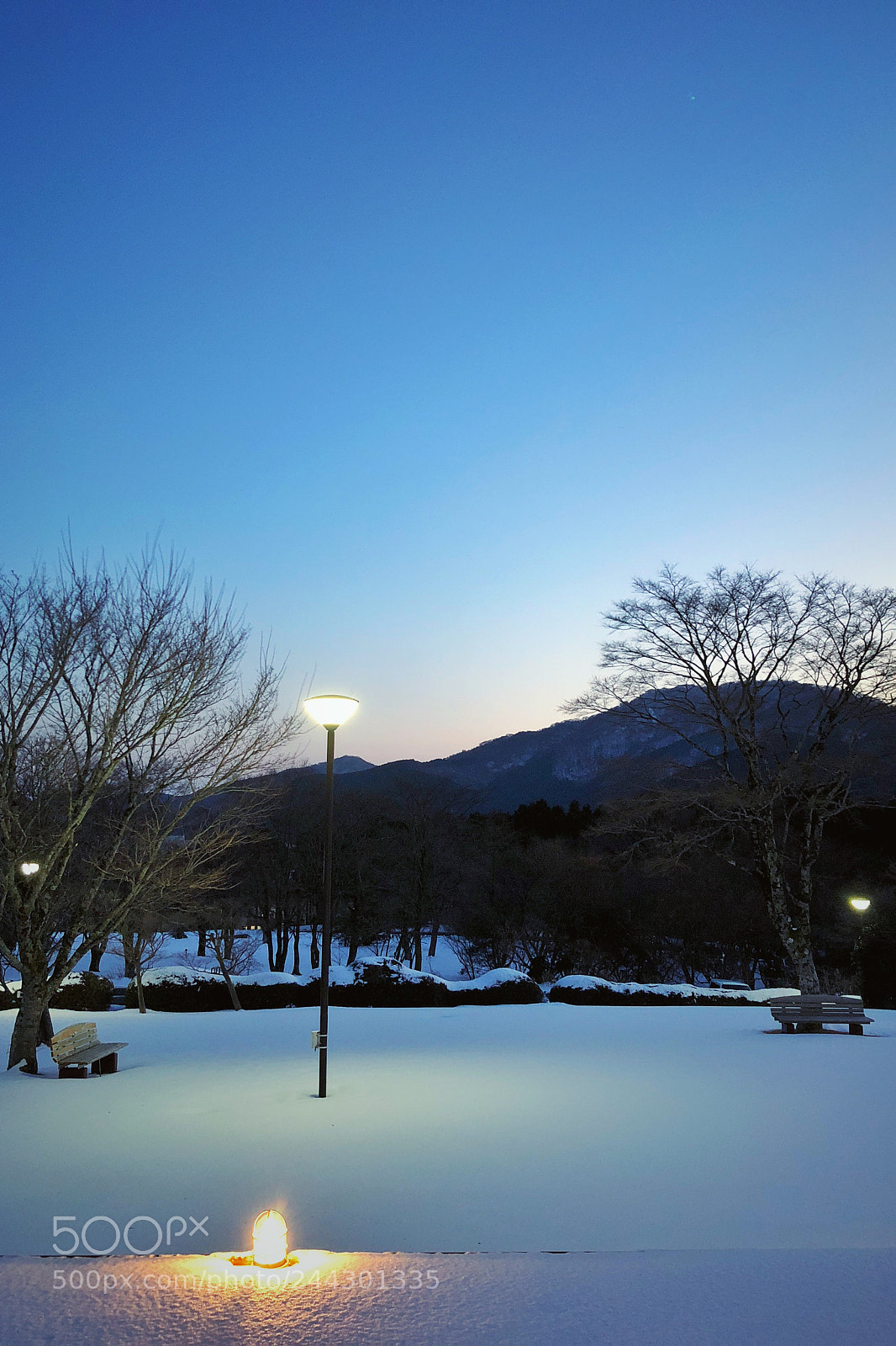 Apple iPhone X sample photo. 2018.01.23 photography