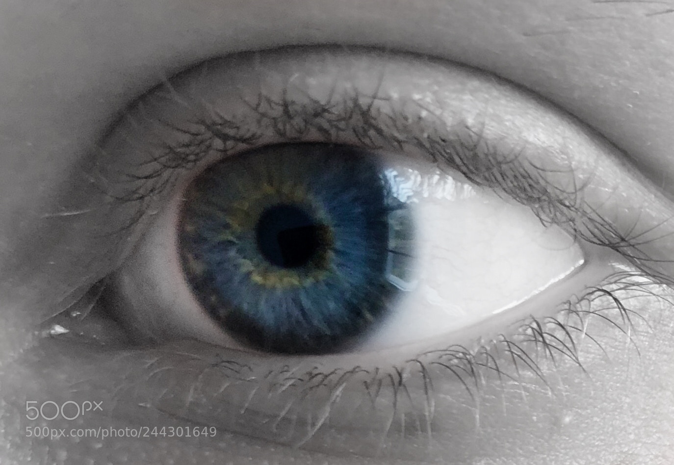 Apple iPhone 8 sample photo. My eye... photography