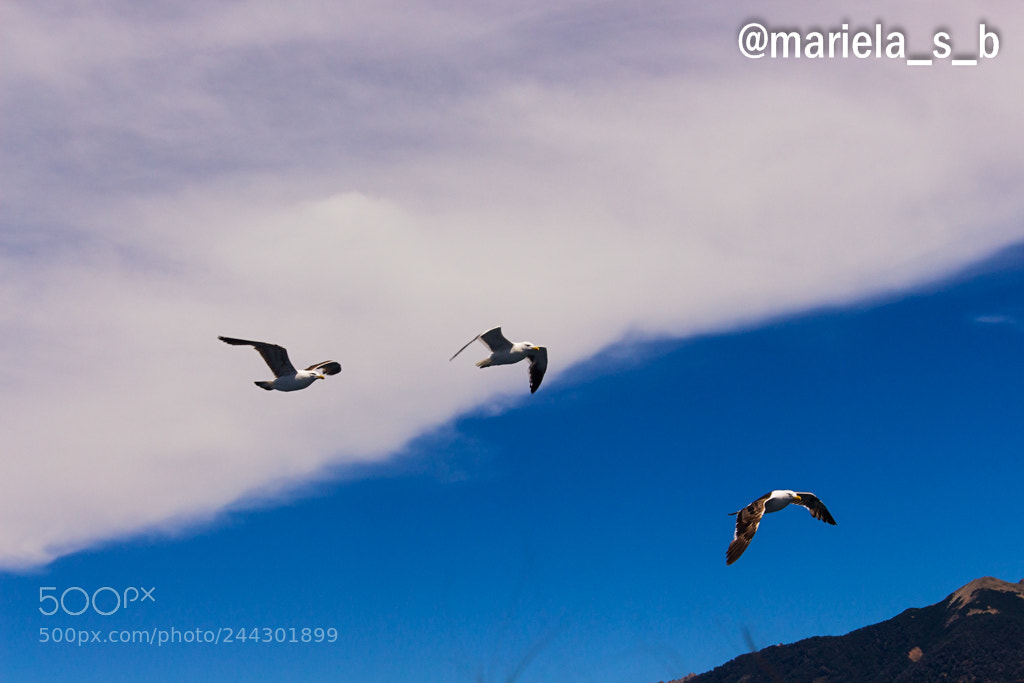 Canon EOS 700D (EOS Rebel T5i / EOS Kiss X7i) sample photo. Bariloche photography