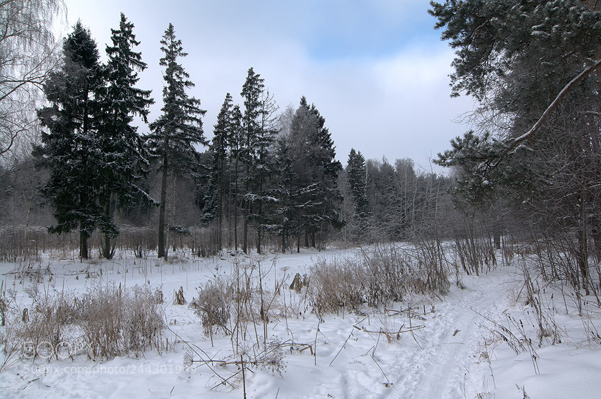 Pentax K-7 sample photo. Winter day. photography