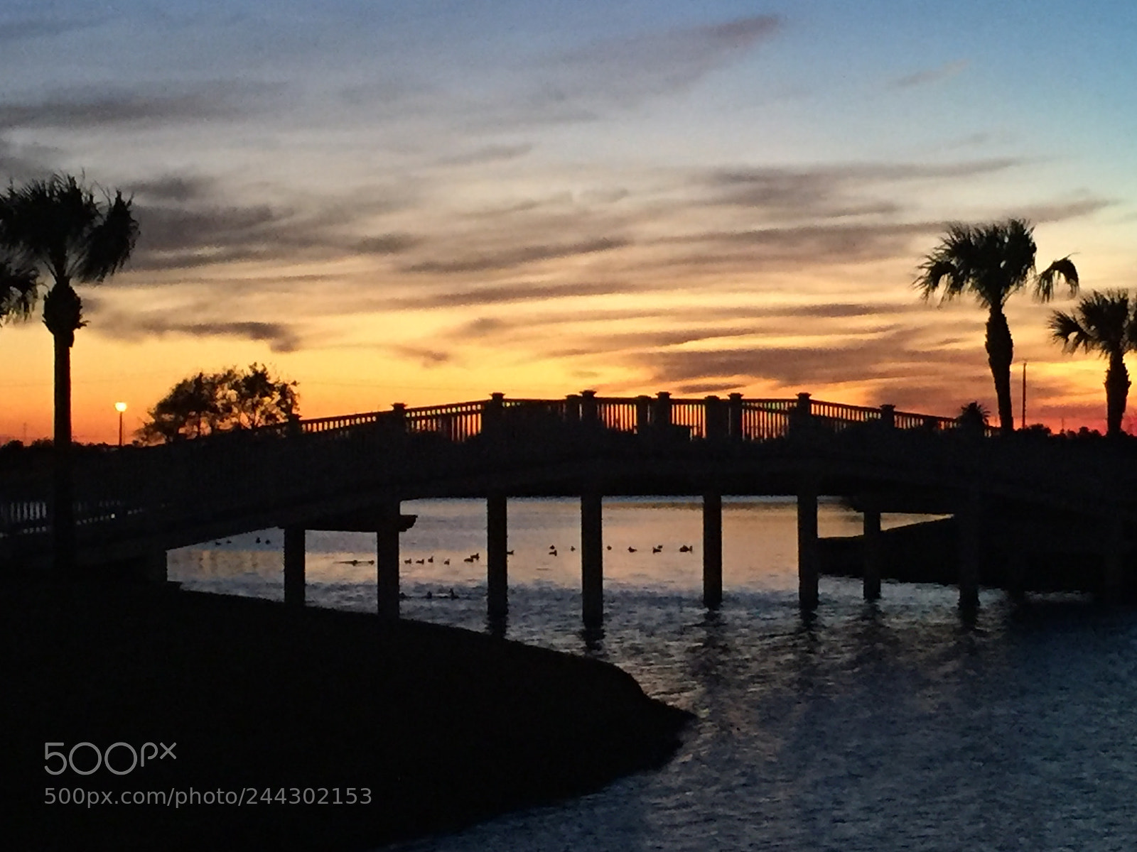 Apple iPhone 6 sample photo. Tonight s painting photography