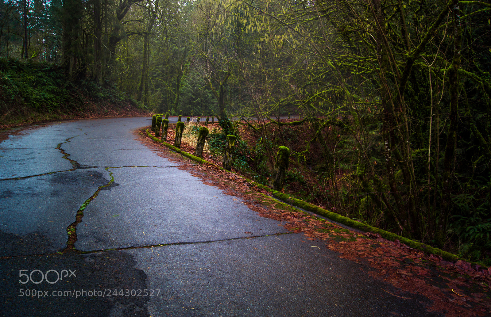 Sony SLT-A77 sample photo. Old roads photography