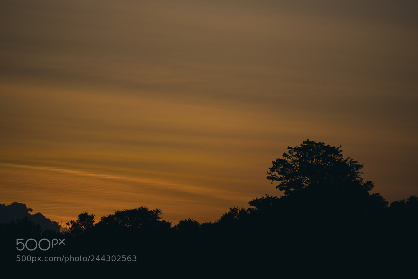 Nikon D3400 sample photo. Sunset photography