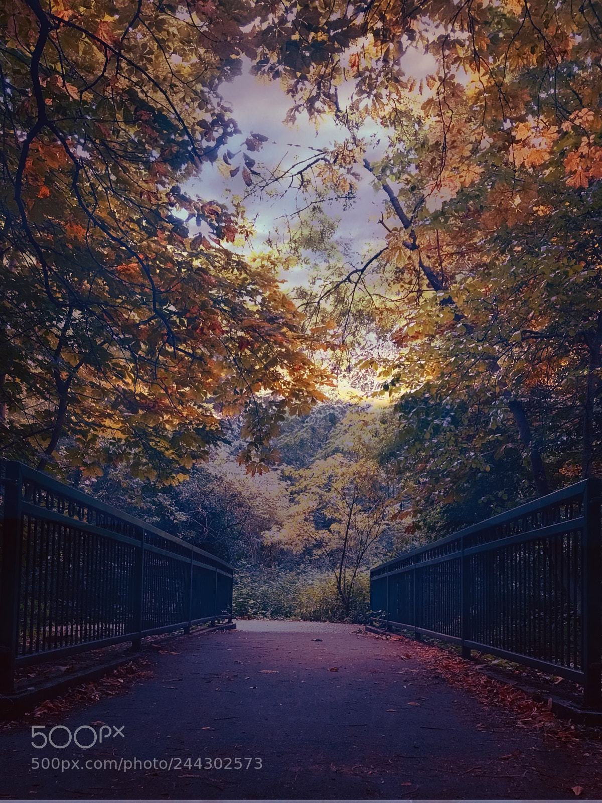 Apple iPhone 7 Plus sample photo. Walking over the bridge photography