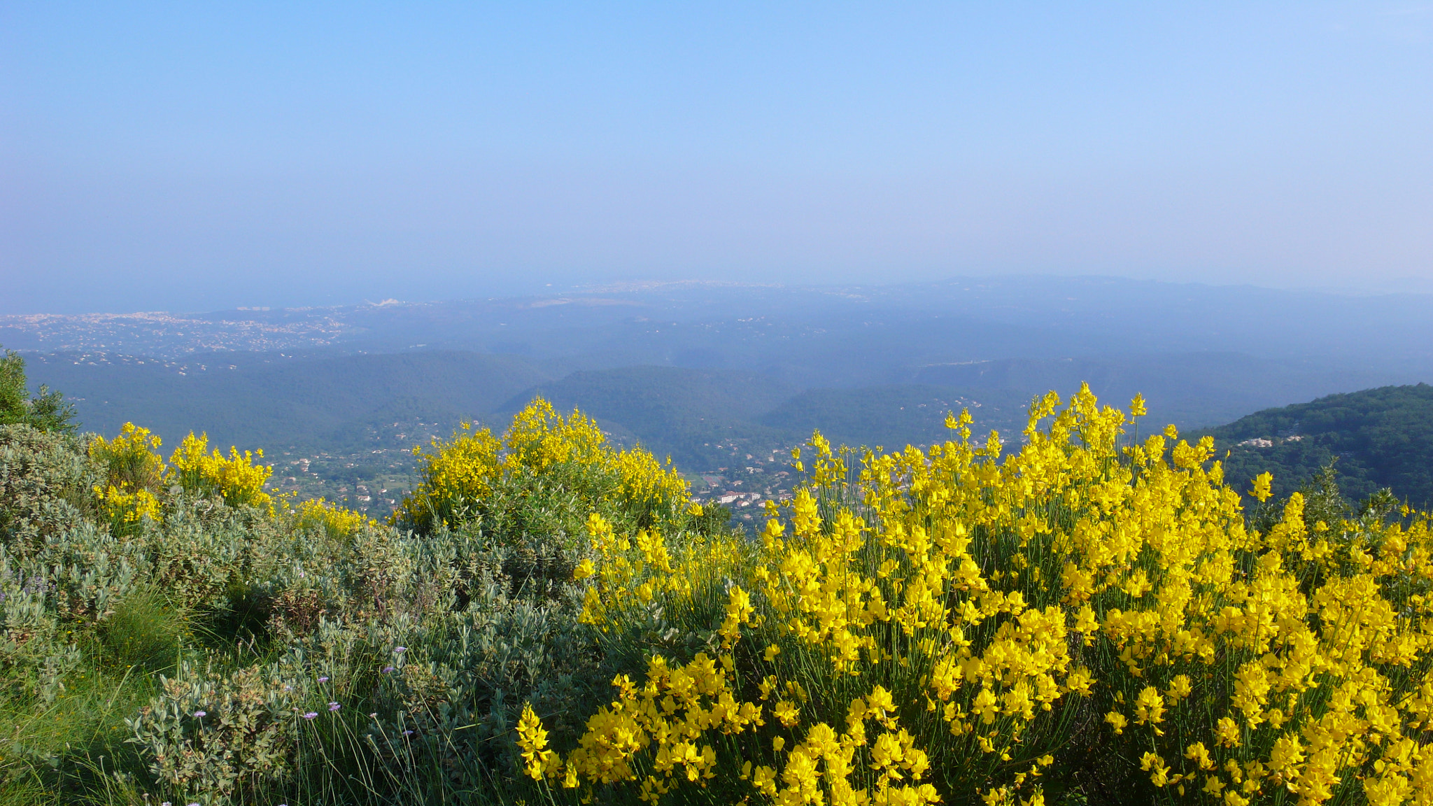 Panasonic DMC-LX2 sample photo. Beautiful flowers in the mountains in alpes-mariti ... photography