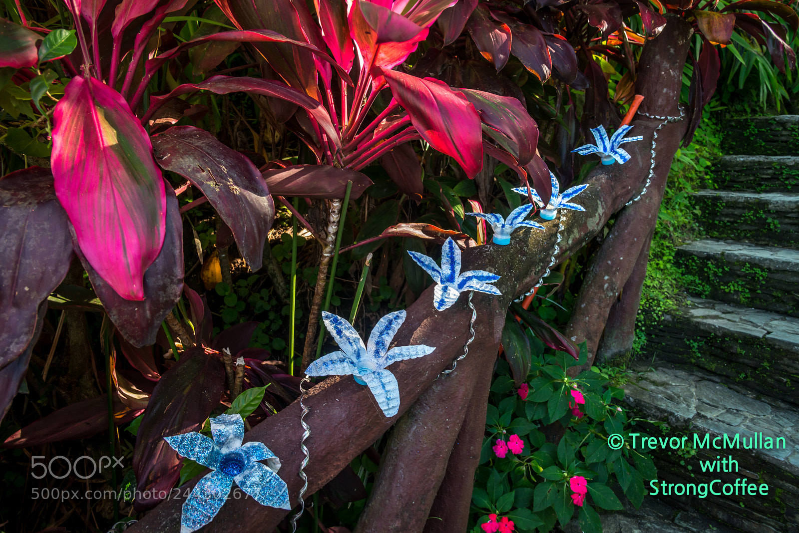 Nikon D800 sample photo. Water bottle flowers photography