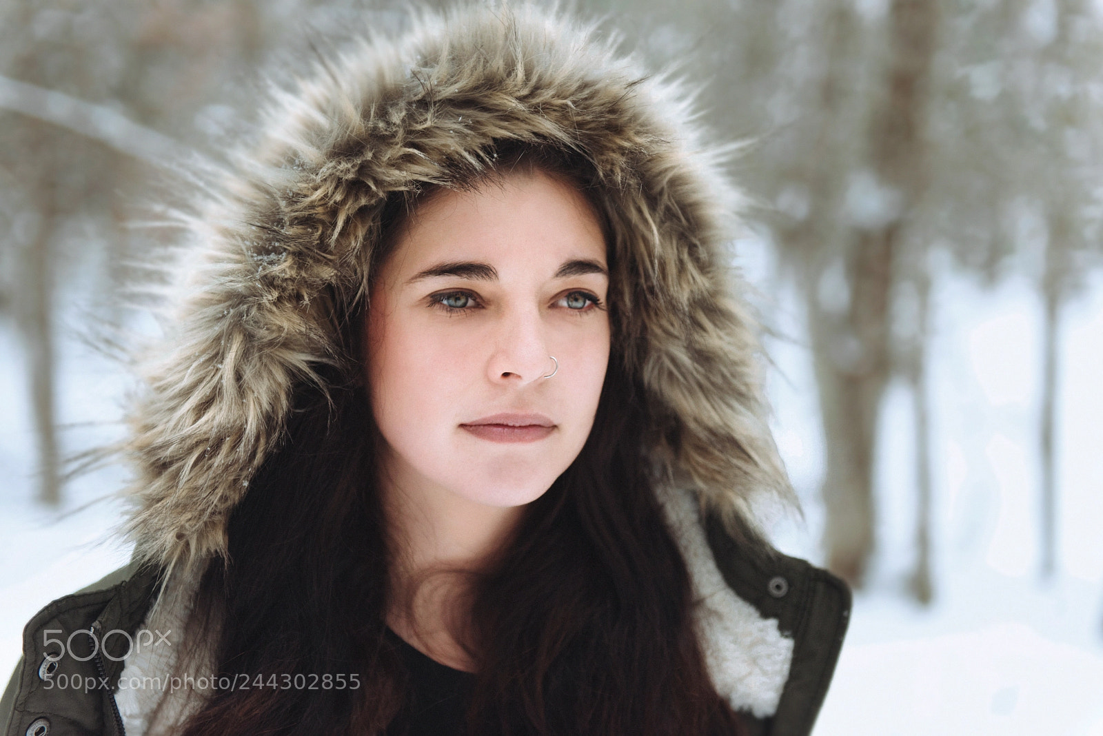 Nikon D810 sample photo. Winter gaze photography