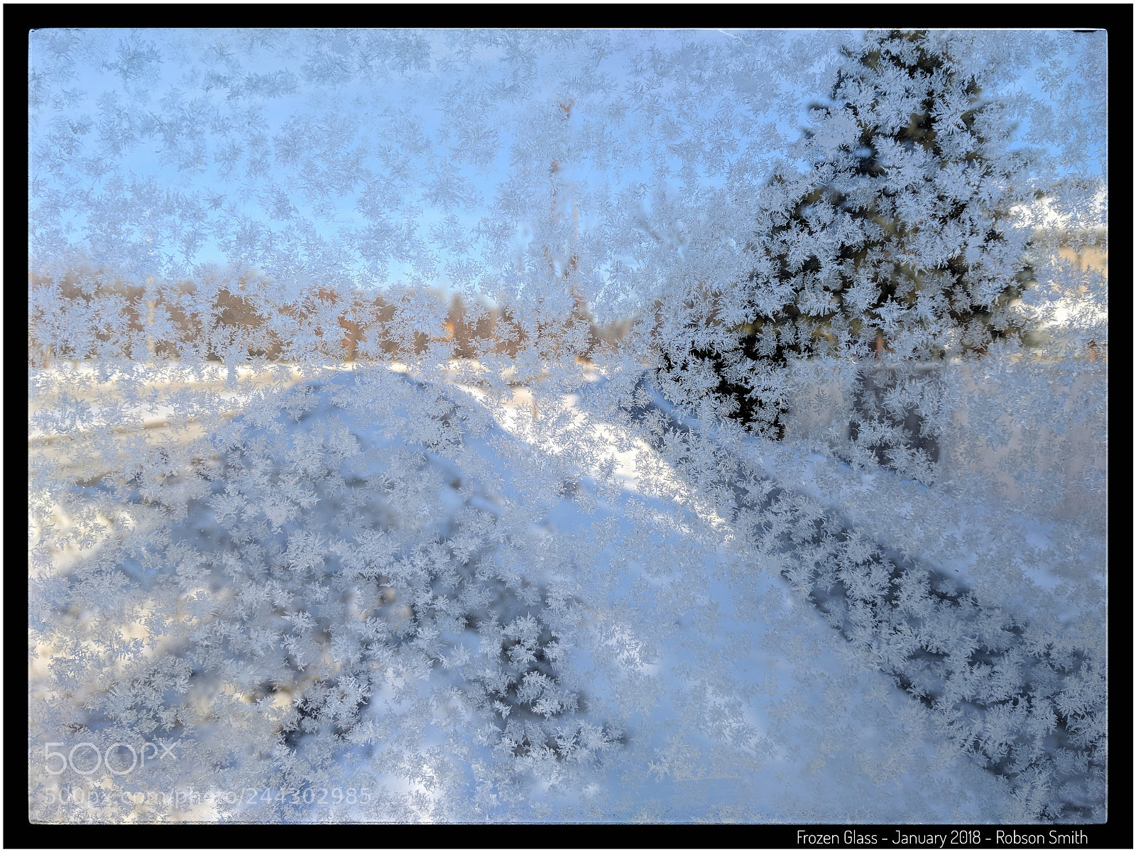Google Pixel sample photo. Frozen glass - daily photography