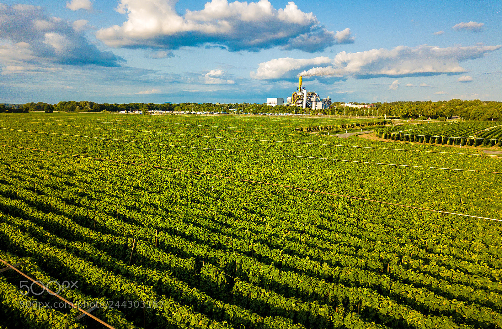 DJI FC220 sample photo. Nature & industry photography