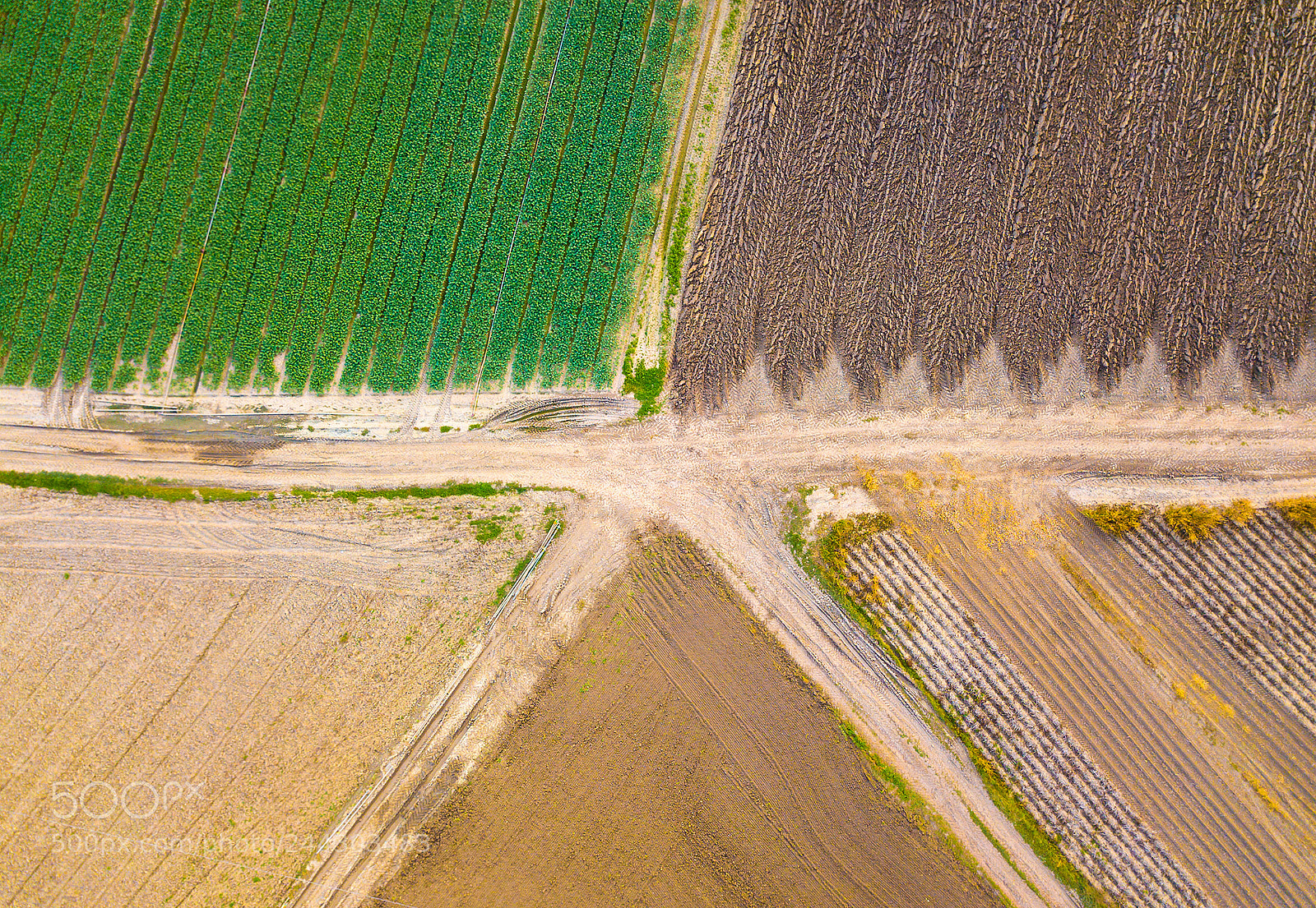 DJI FC220 sample photo. Star photography