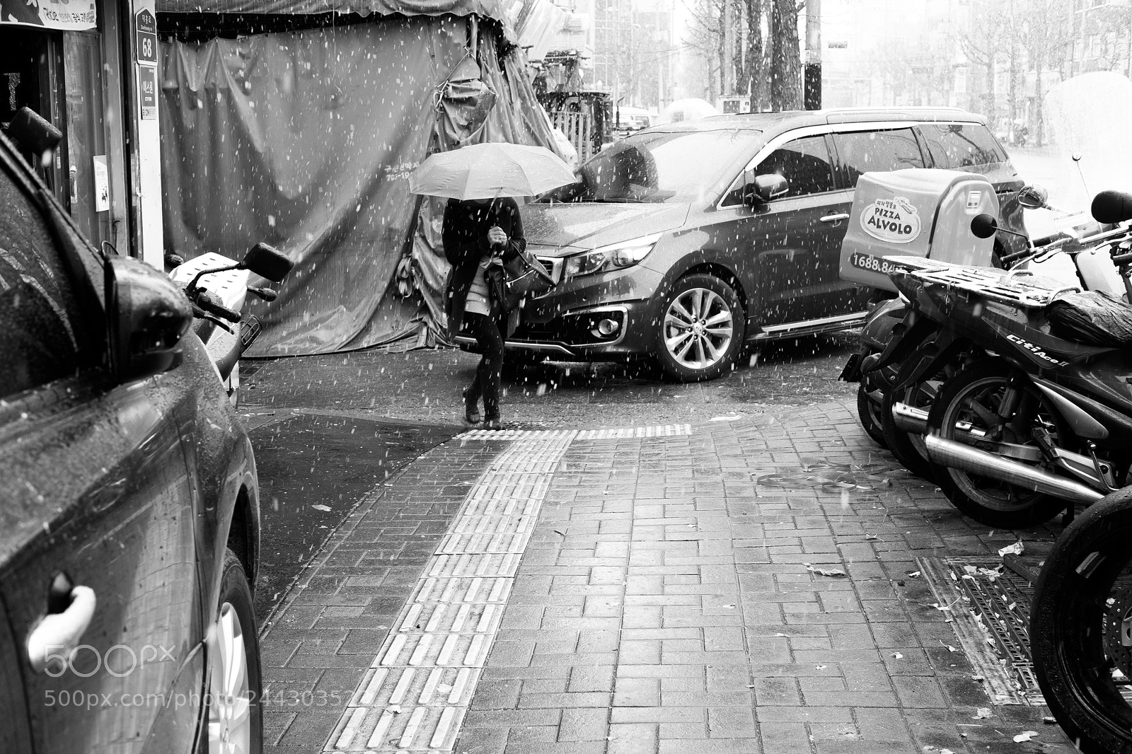 Fujifilm X-Pro2 sample photo. Wet snow photography