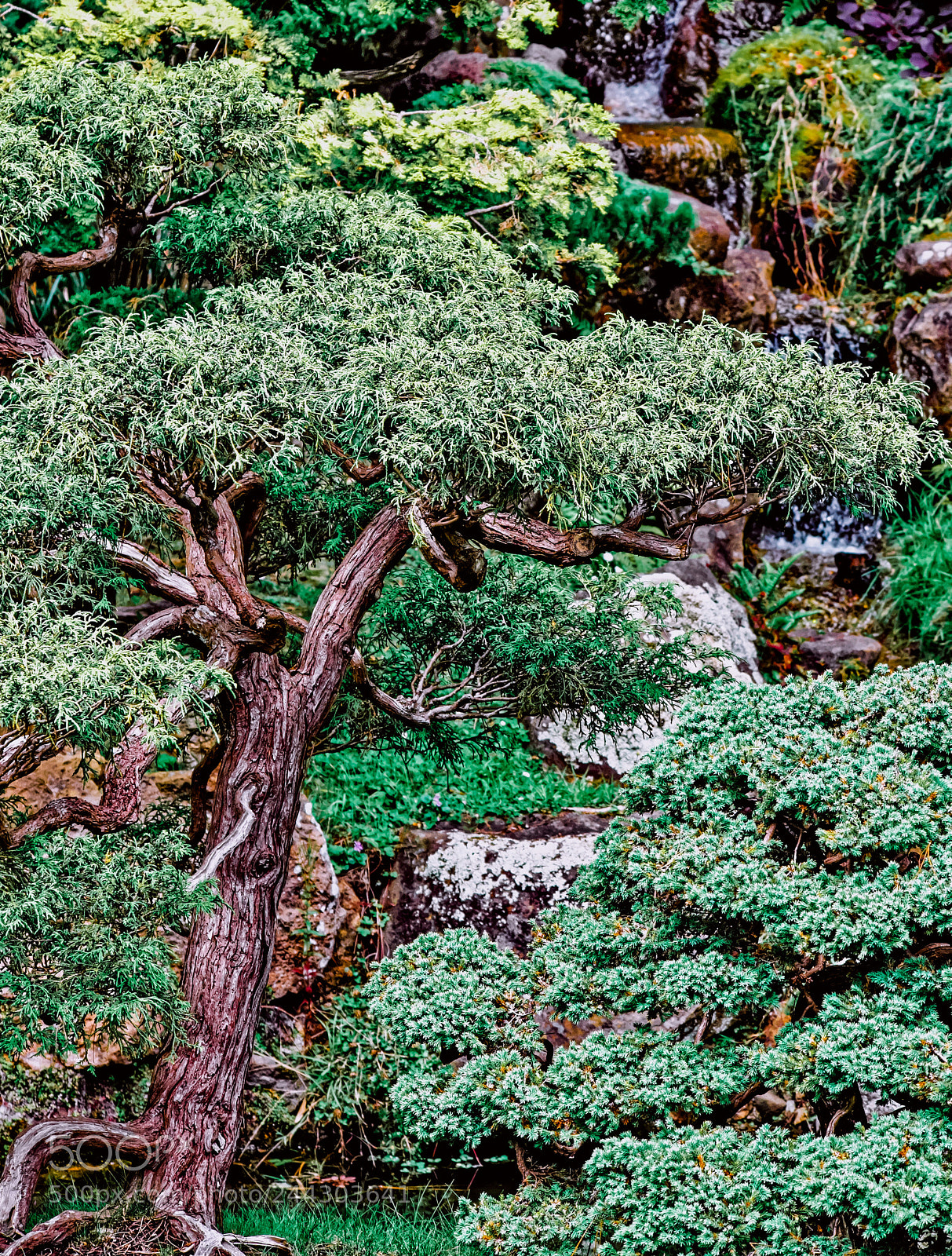 Fujifilm X-E2 sample photo. Jtg 62 photography