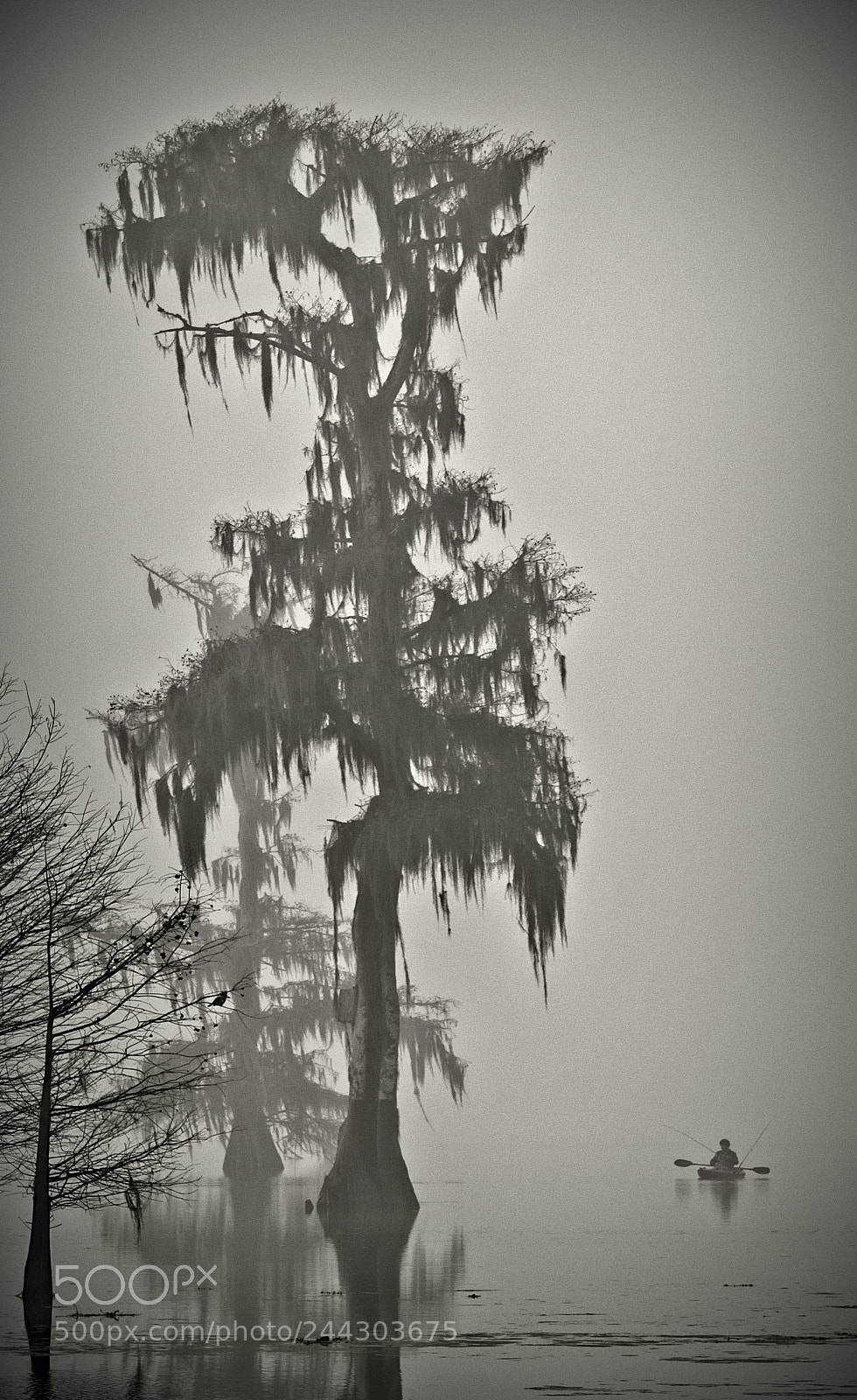 Canon EOS 7D Mark II sample photo. Kayaking in the fog photography