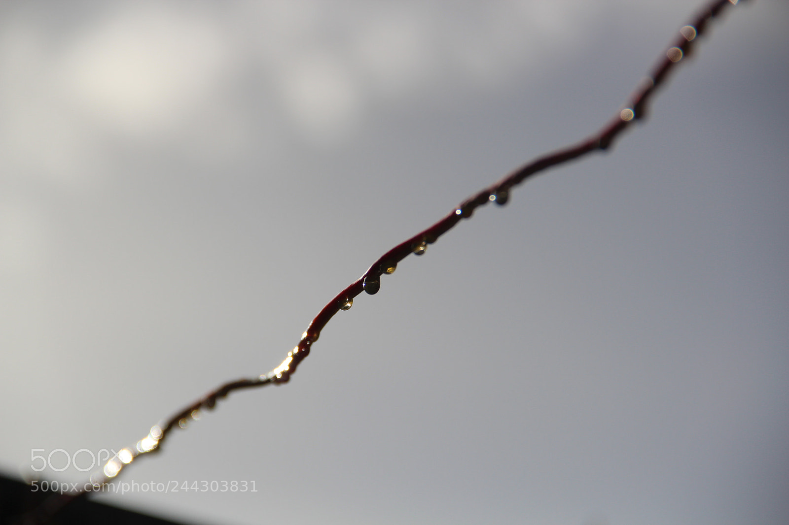 Canon EF-S 18-135mm F3.5-5.6 IS sample photo. Drops photography