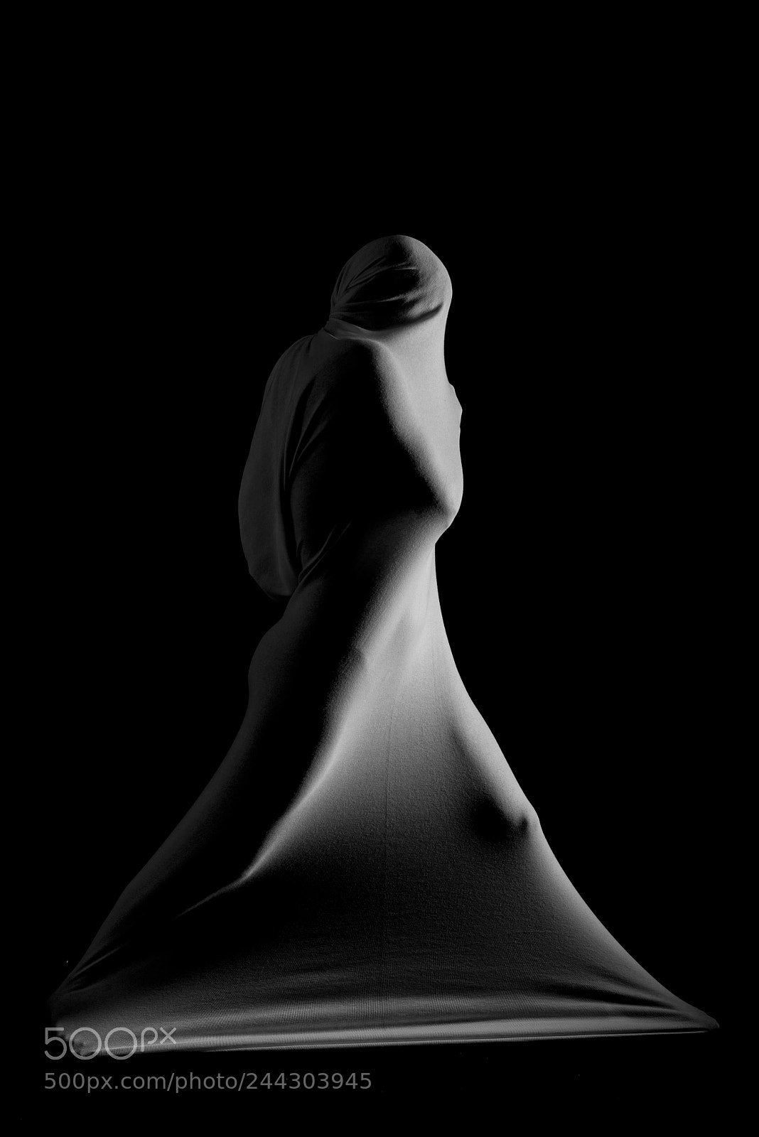 Nikon D800 sample photo. Veiled photography