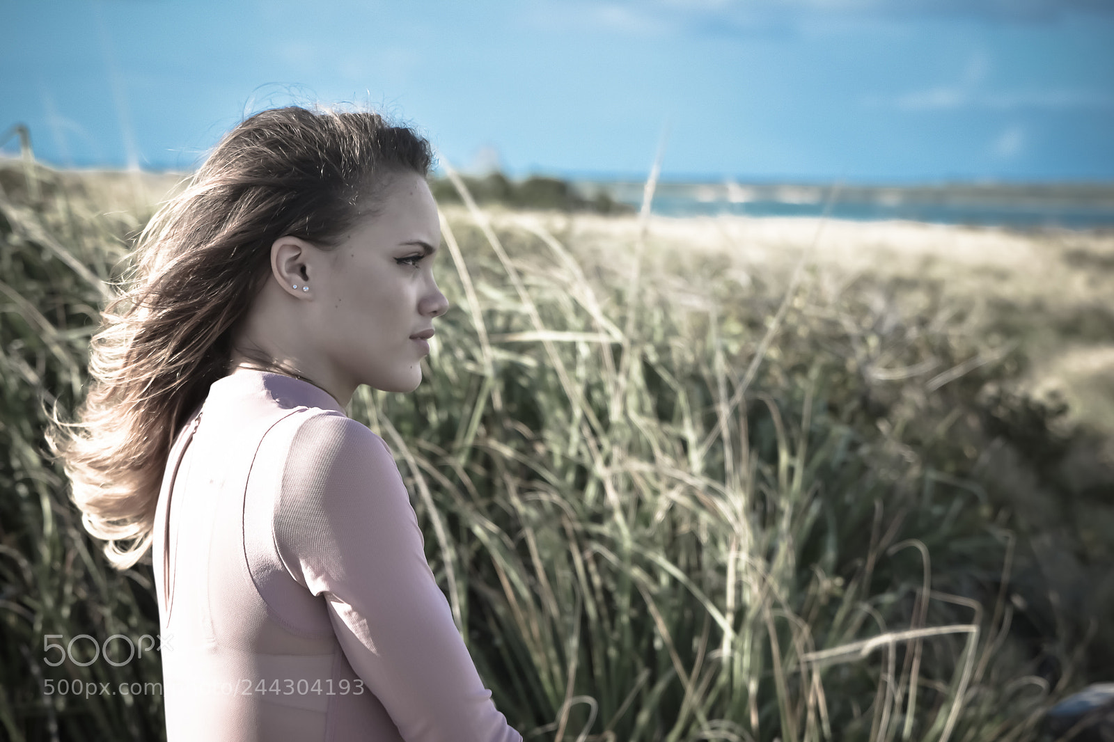 Nikon D7200 sample photo. Untitled photography