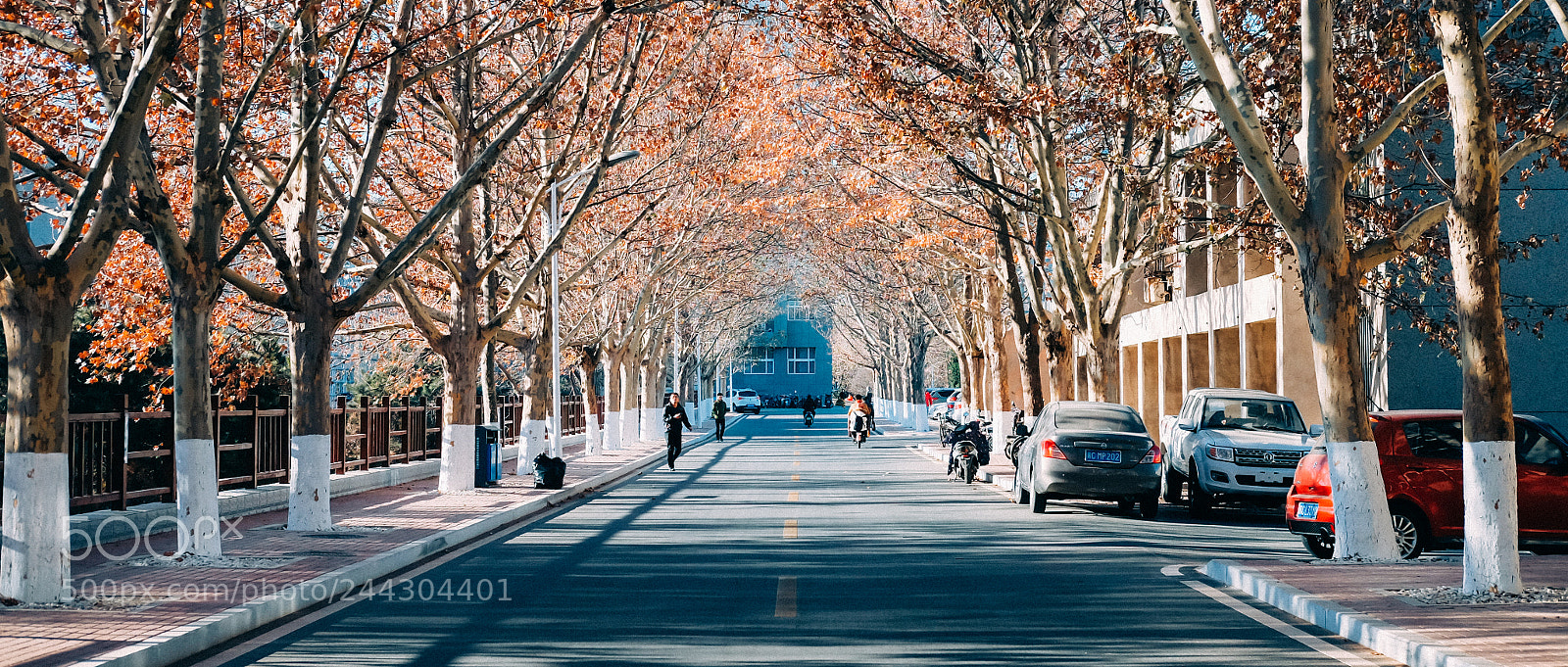 Fujifilm X-T1 sample photo. Dscf9578-2.jpg photography