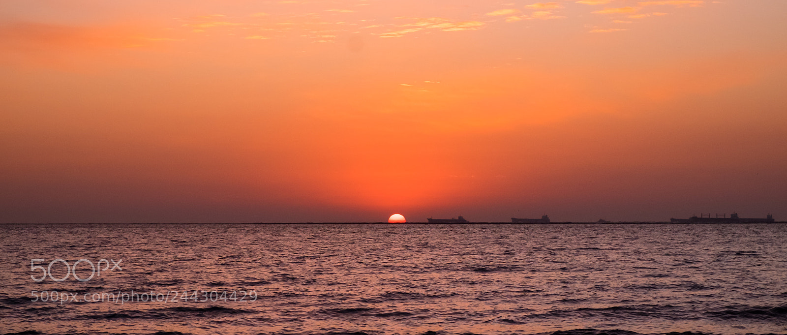 Fujifilm X-T1 sample photo. Dscf photography