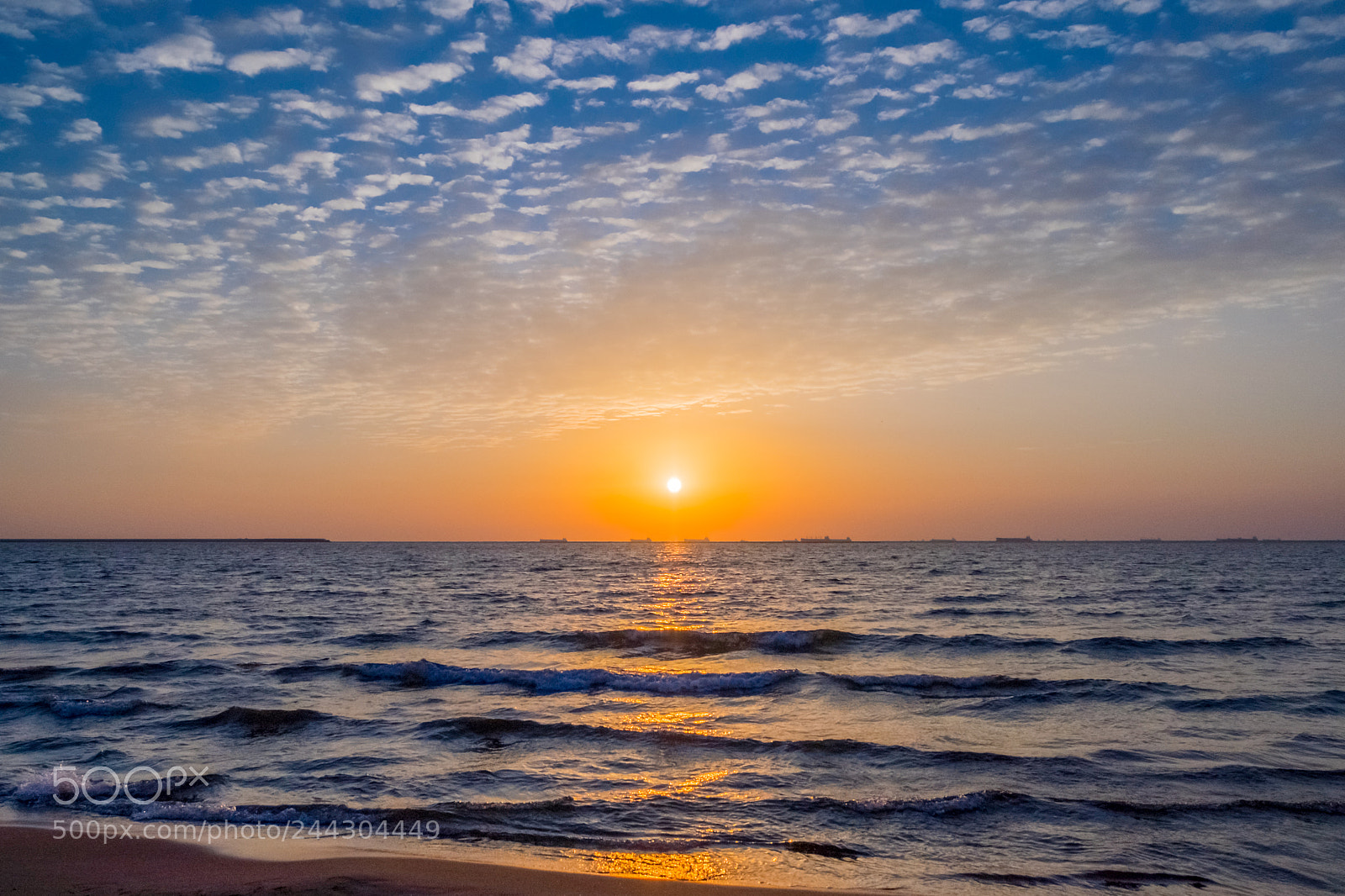 Fujifilm X-T1 sample photo. Dscf9881-5.jpg photography