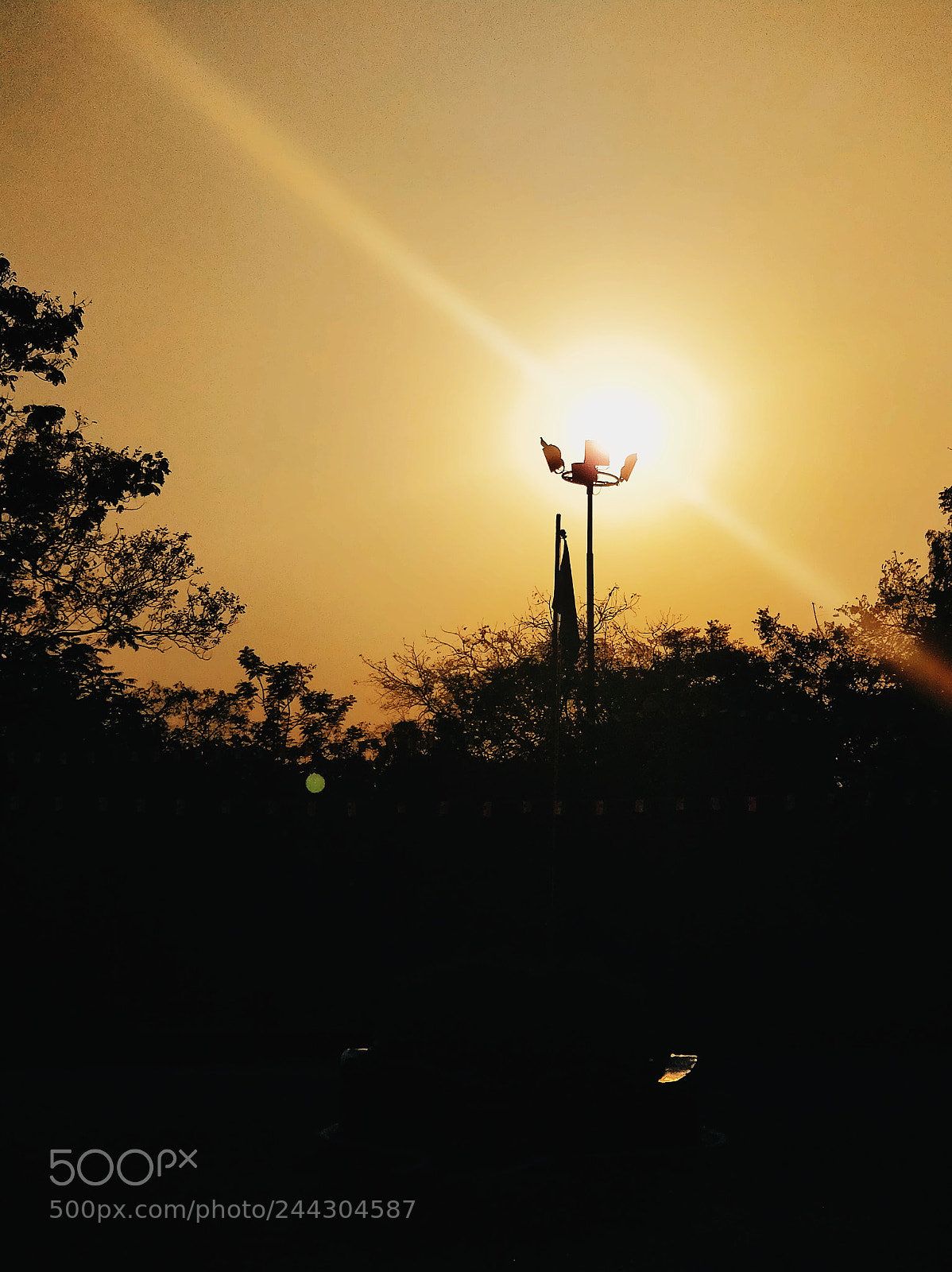 OnePlus 5 sample photo. Golden hour photography