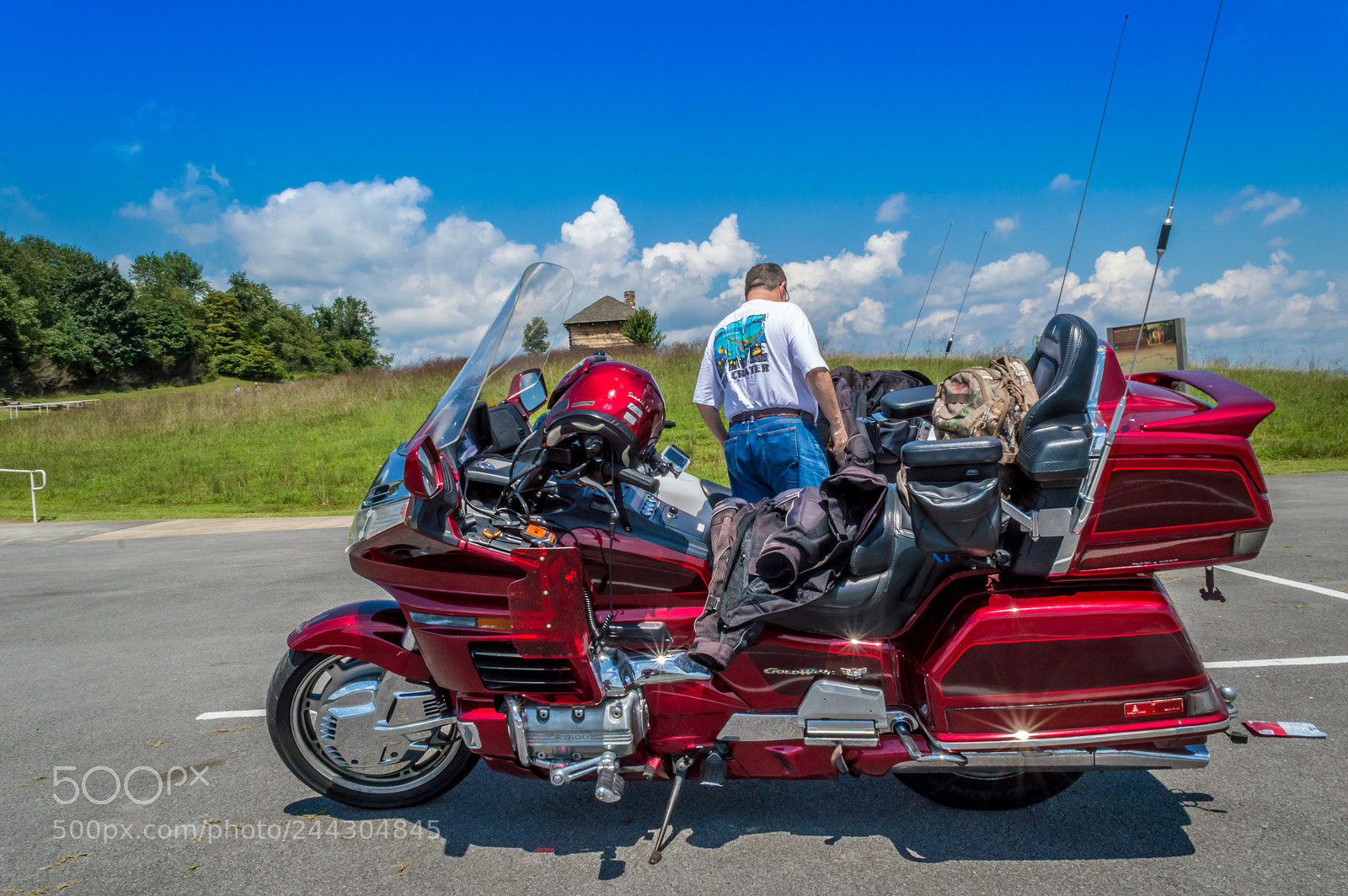 Nikon D3200 sample photo. Red beauty photography
