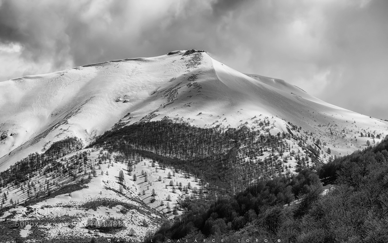 Nikon D500 sample photo. Snow and shadows photography