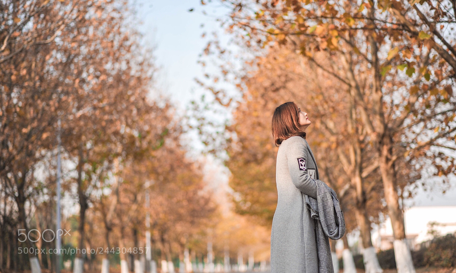 Nikon D700 sample photo. Untitled photography