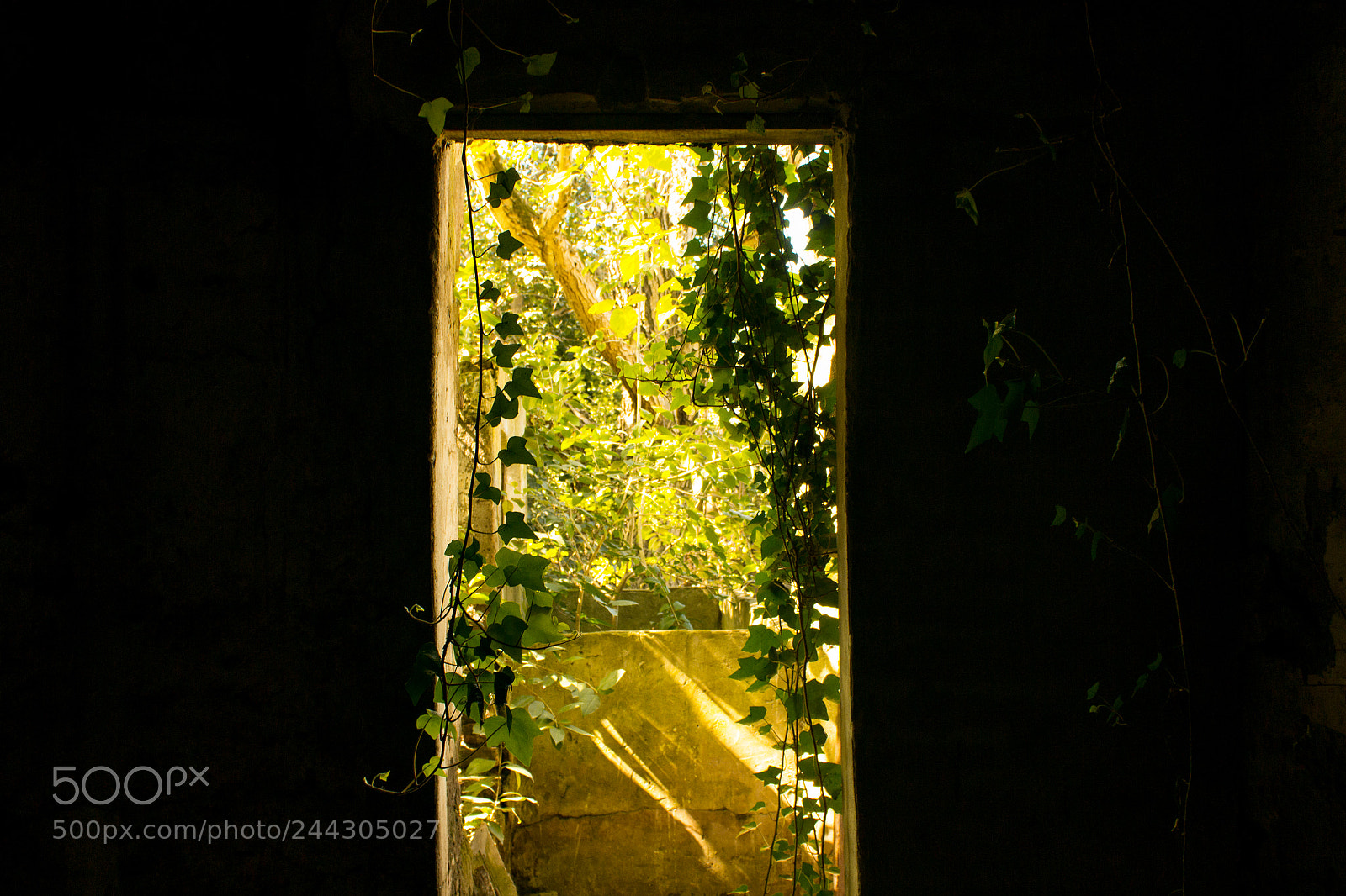 Canon EOS 600D (Rebel EOS T3i / EOS Kiss X5) sample photo. Abandonado photography