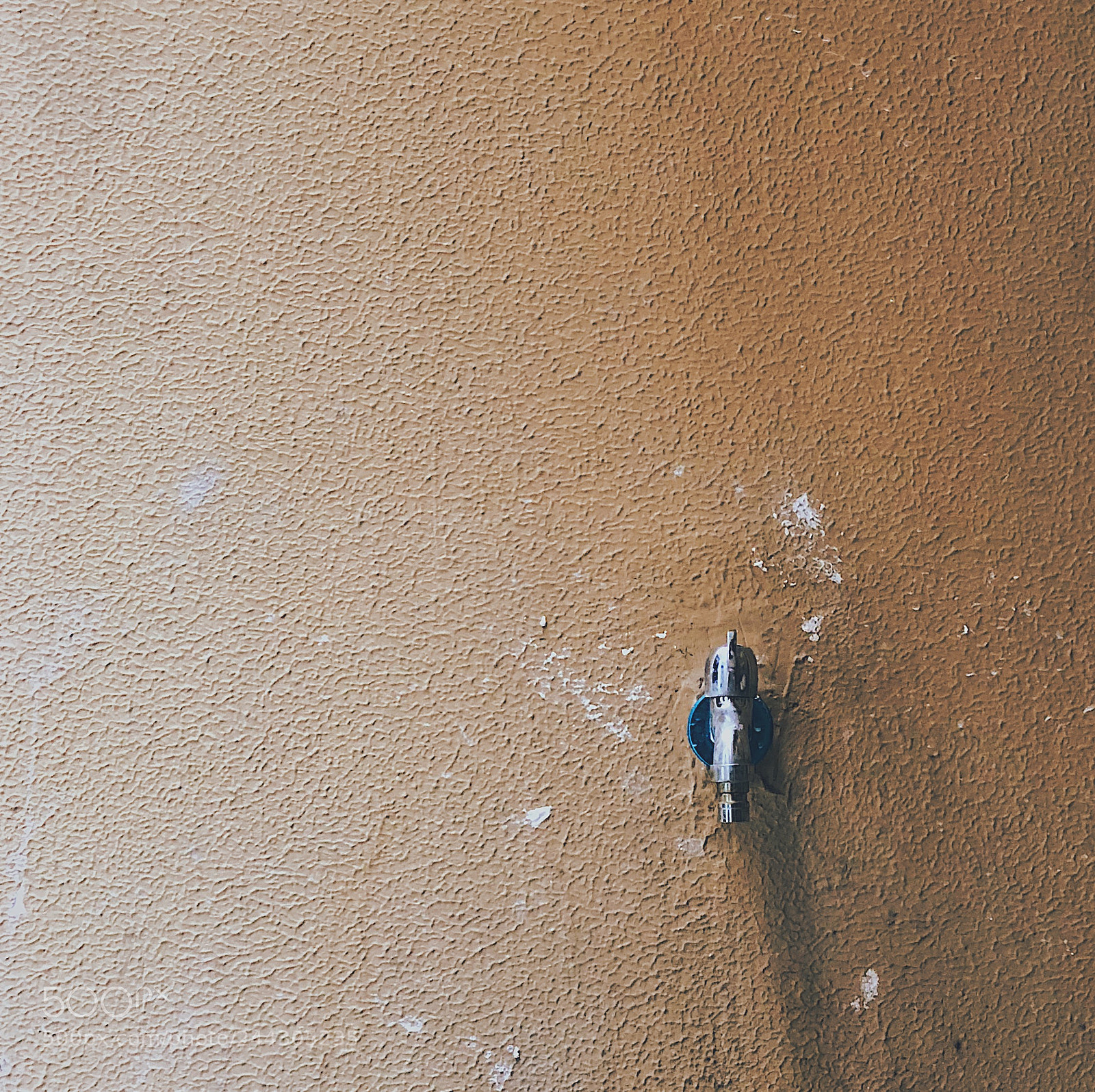Apple iPhone X sample photo. Untitled photography