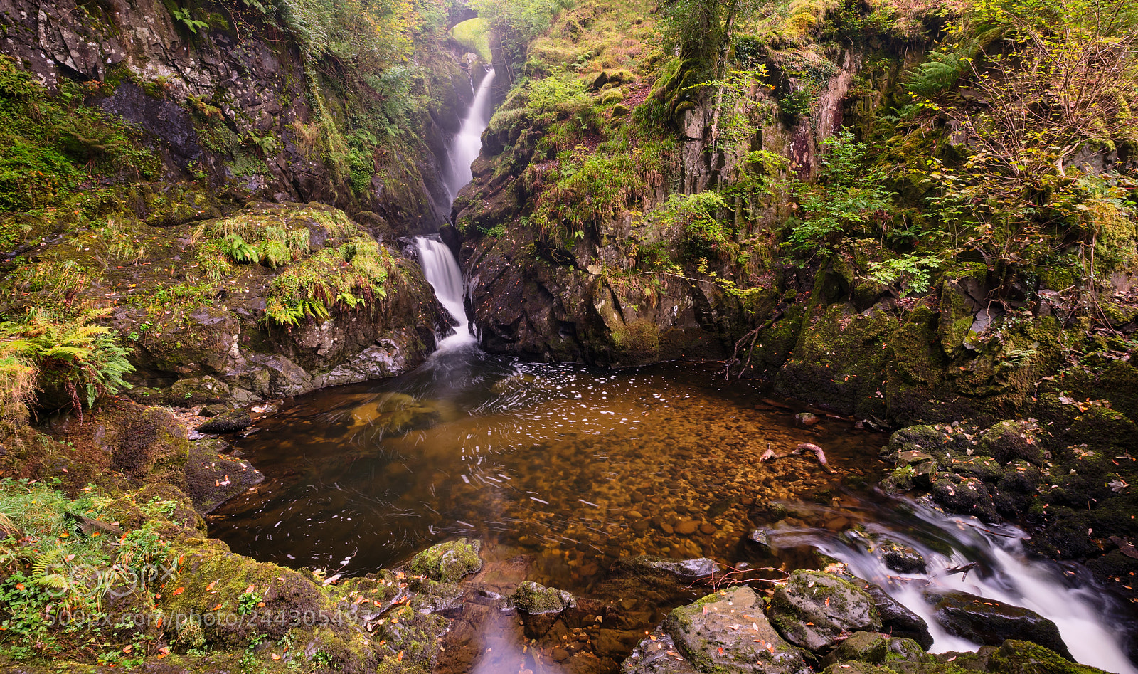Fujifilm X-T2 sample photo. Aira force photography