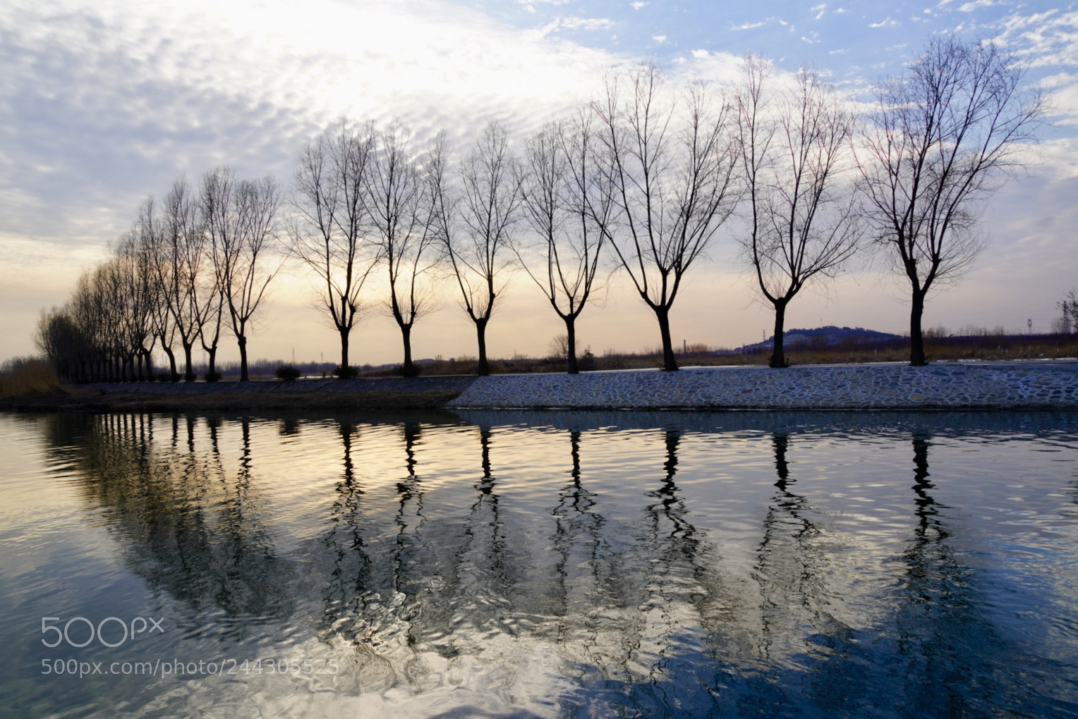 Sony a7R III sample photo. 湿地 photography