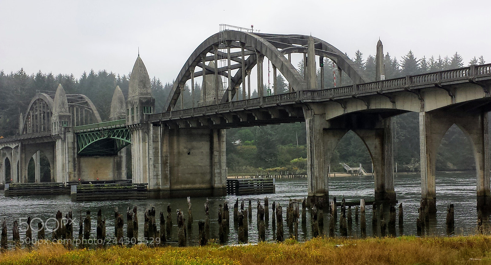 Samsung Galaxy S4 sample photo. Bridge-oregon.jpg photography