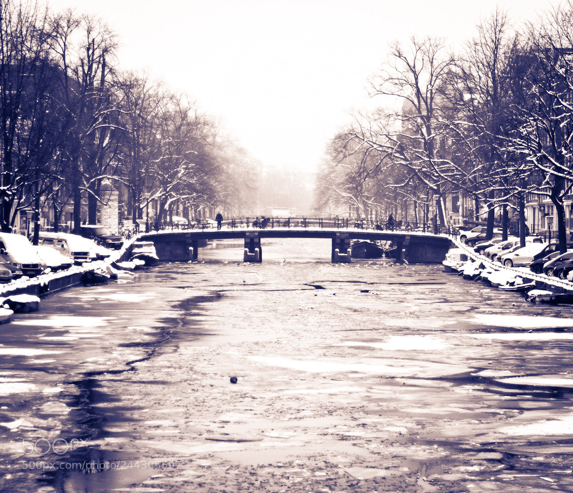 Nikon D90 sample photo. Amsterdam winter photography