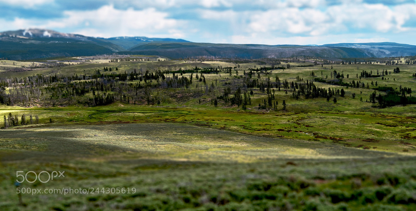 Canon PowerShot G7 X sample photo. Yellowstone photography