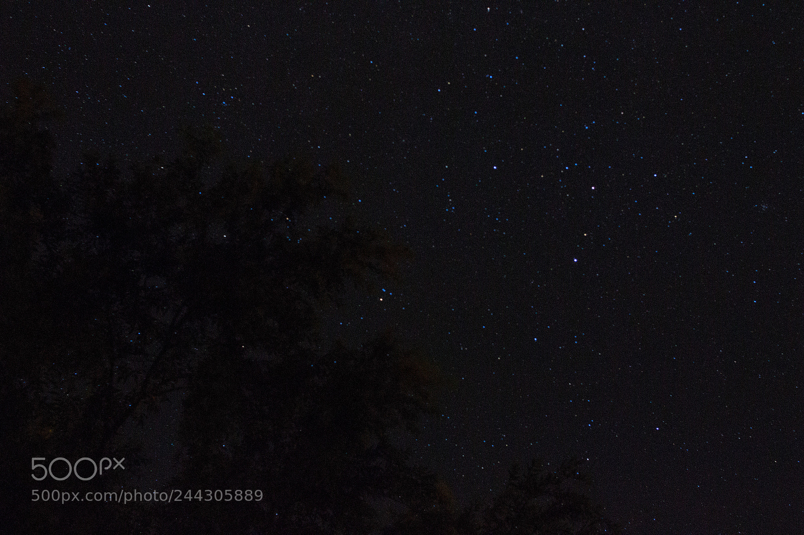 Canon EOS 700D (EOS Rebel T5i / EOS Kiss X7i) sample photo. Dark tree photography