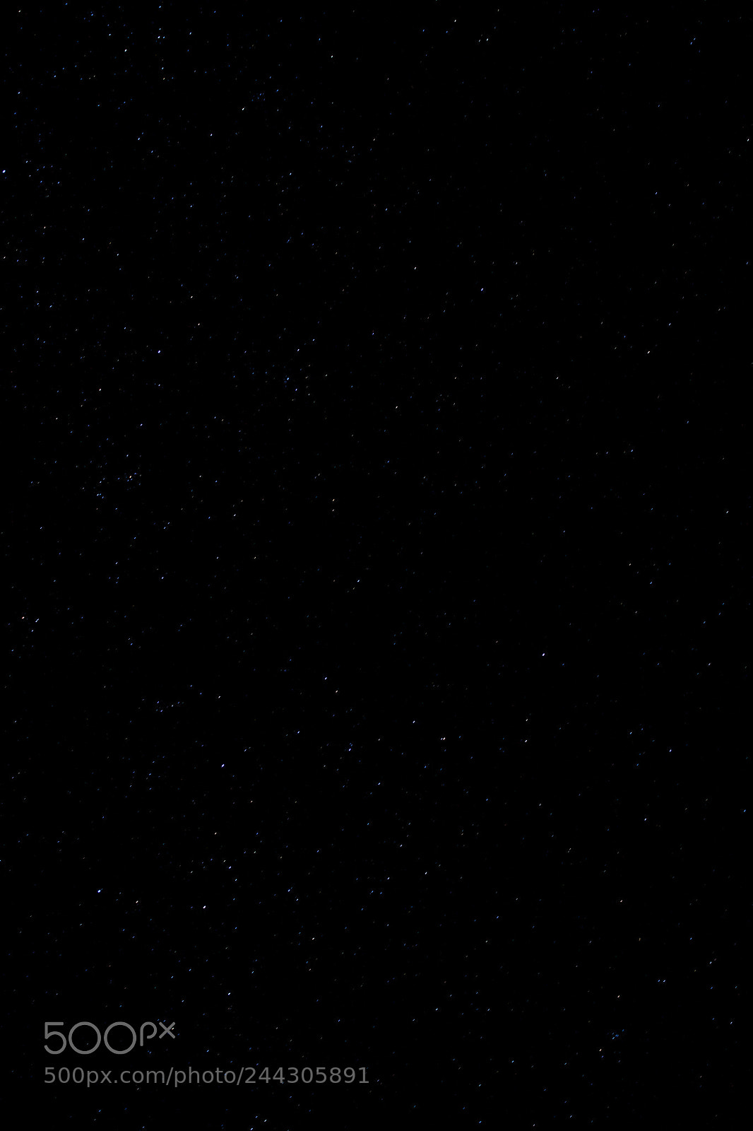 Canon EOS 700D (EOS Rebel T5i / EOS Kiss X7i) sample photo. Firefly photography