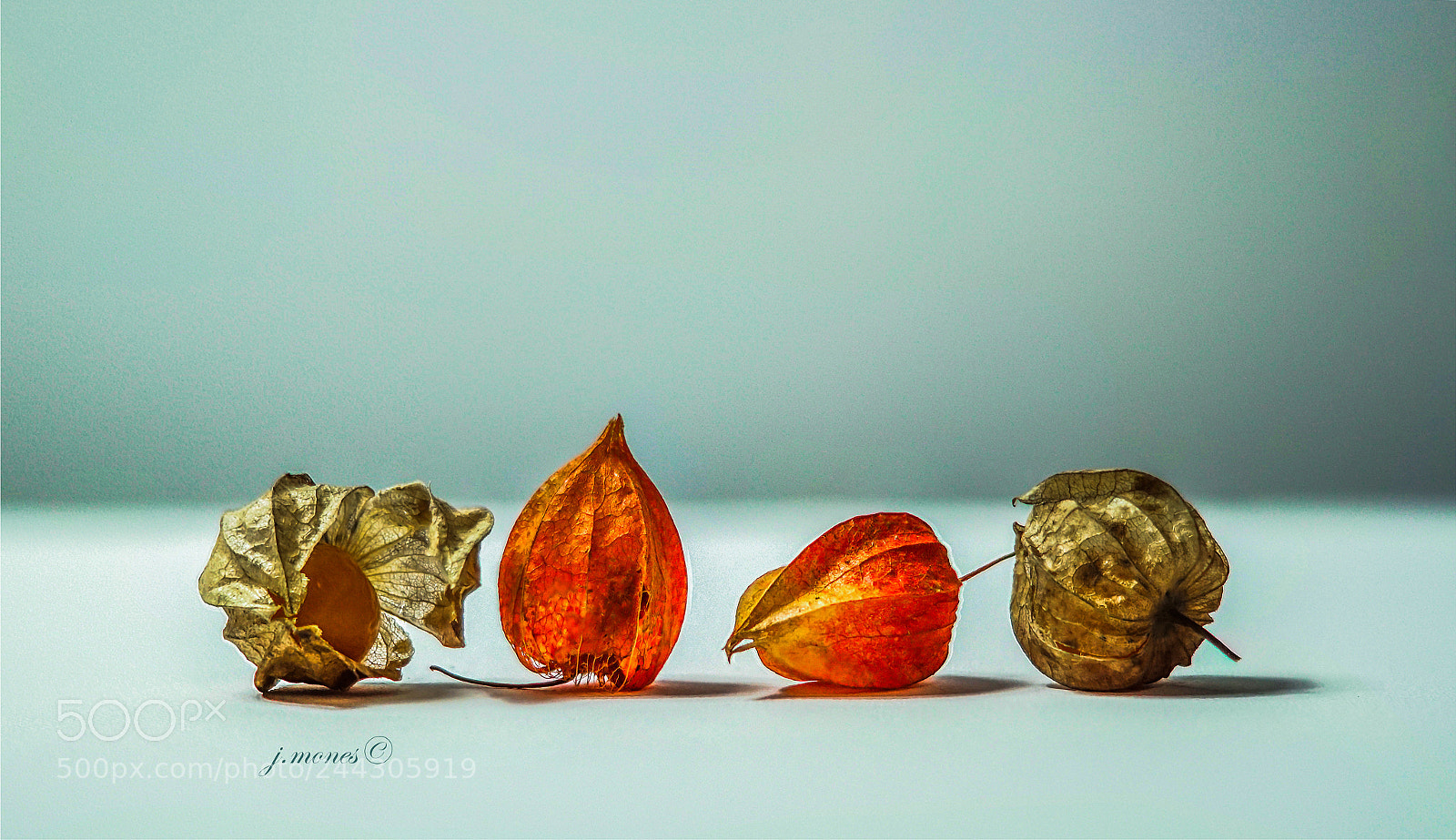 Sony SLT-A68 sample photo. Stilllife photography