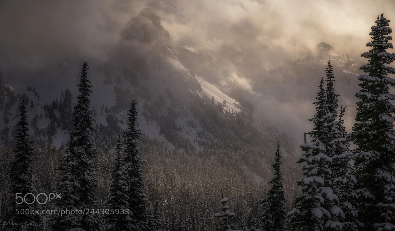Nikon D800 sample photo. Winter wind photography