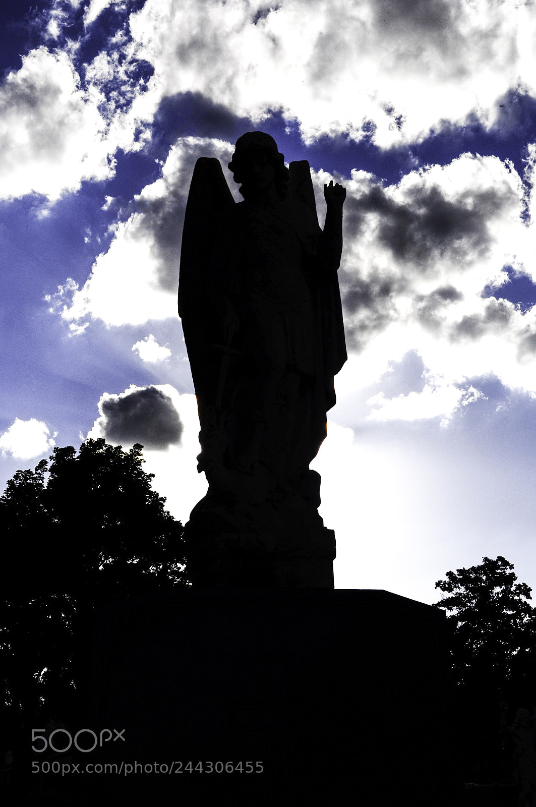 Nikon D5000 sample photo. Silhouette photography