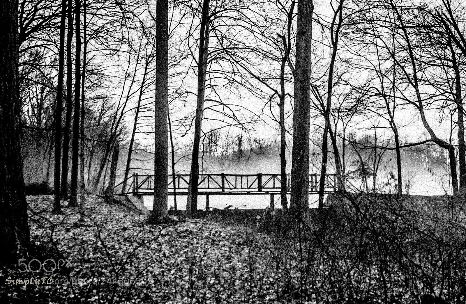 Fujifilm X-T1 sample photo. Foggy foot bridge, winter photography
