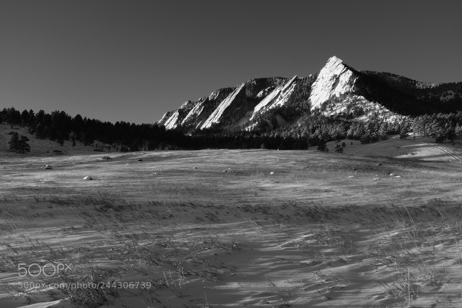 Fujifilm X100F sample photo. Windswept photography