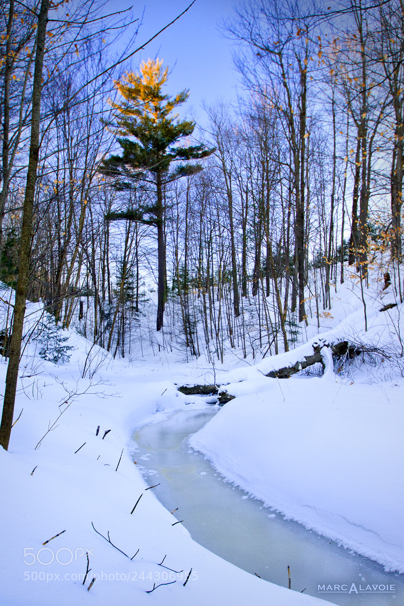 Pentax K-3 sample photo. Winter stream i photography