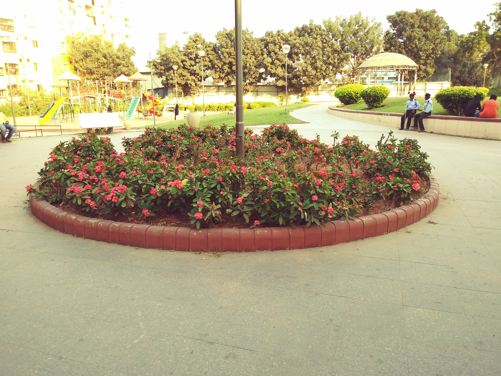 LG Q6 sample photo