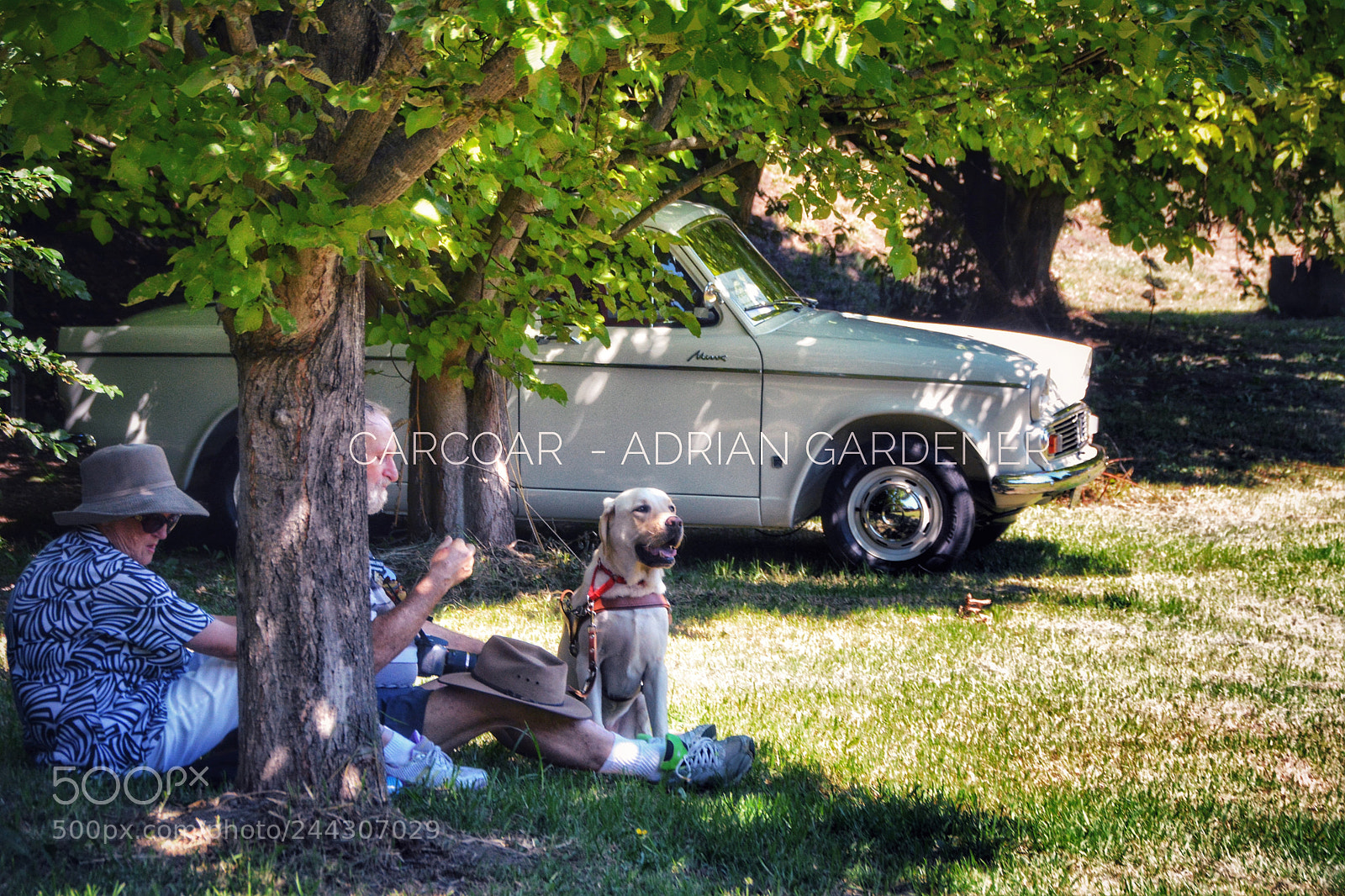 Nikon D7100 sample photo. Carcoar photography